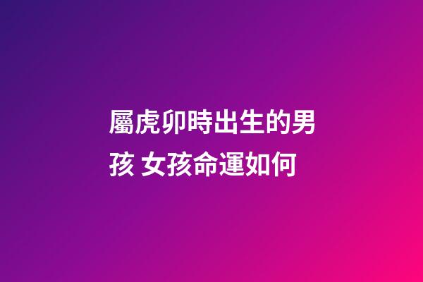 屬虎卯時出生的男孩 女孩命運如何